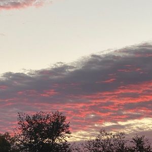 Meet your Posher, Chastity